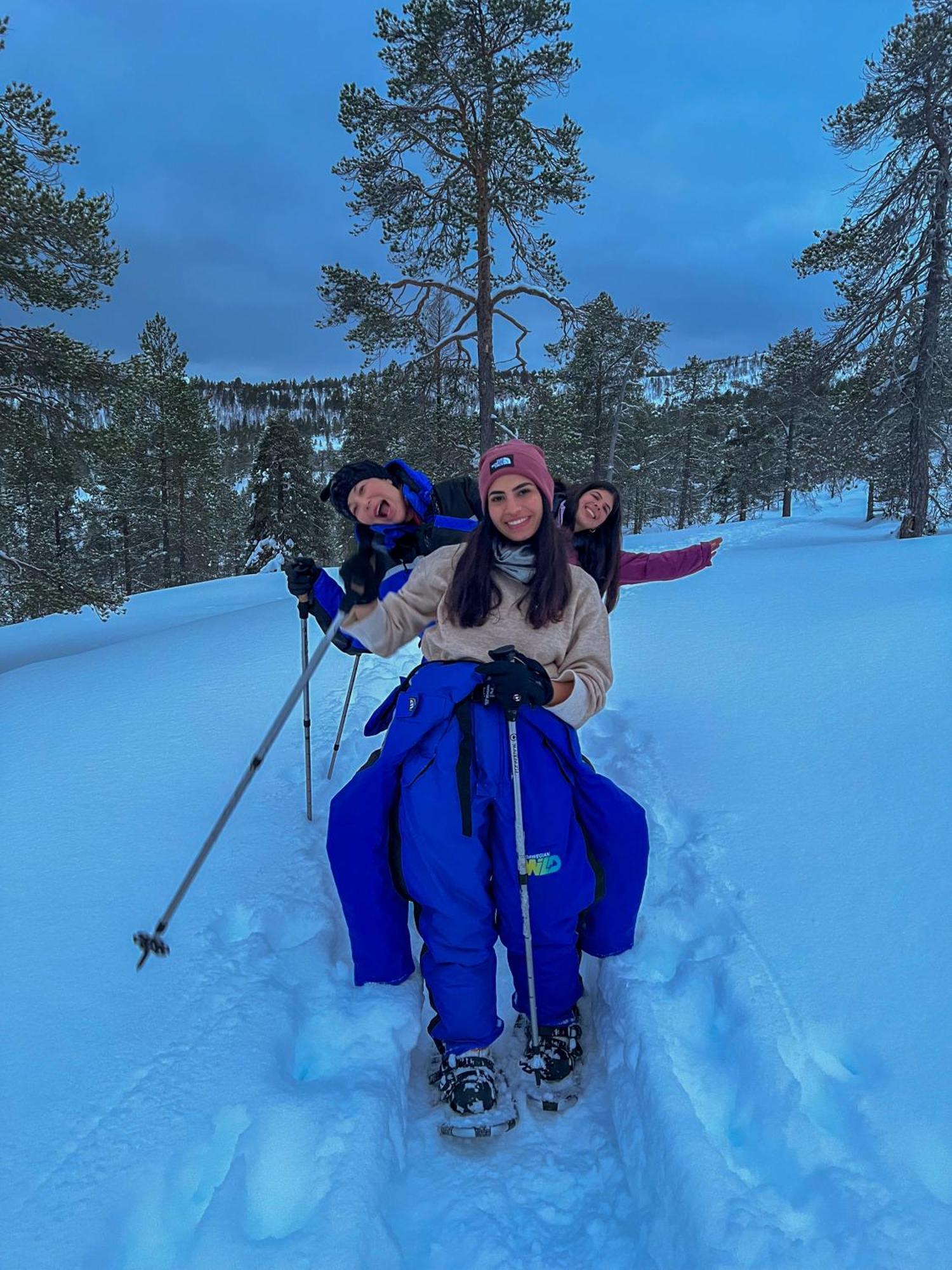 Вілла Norwegian Wild Brygghaugen Екстер'єр фото
