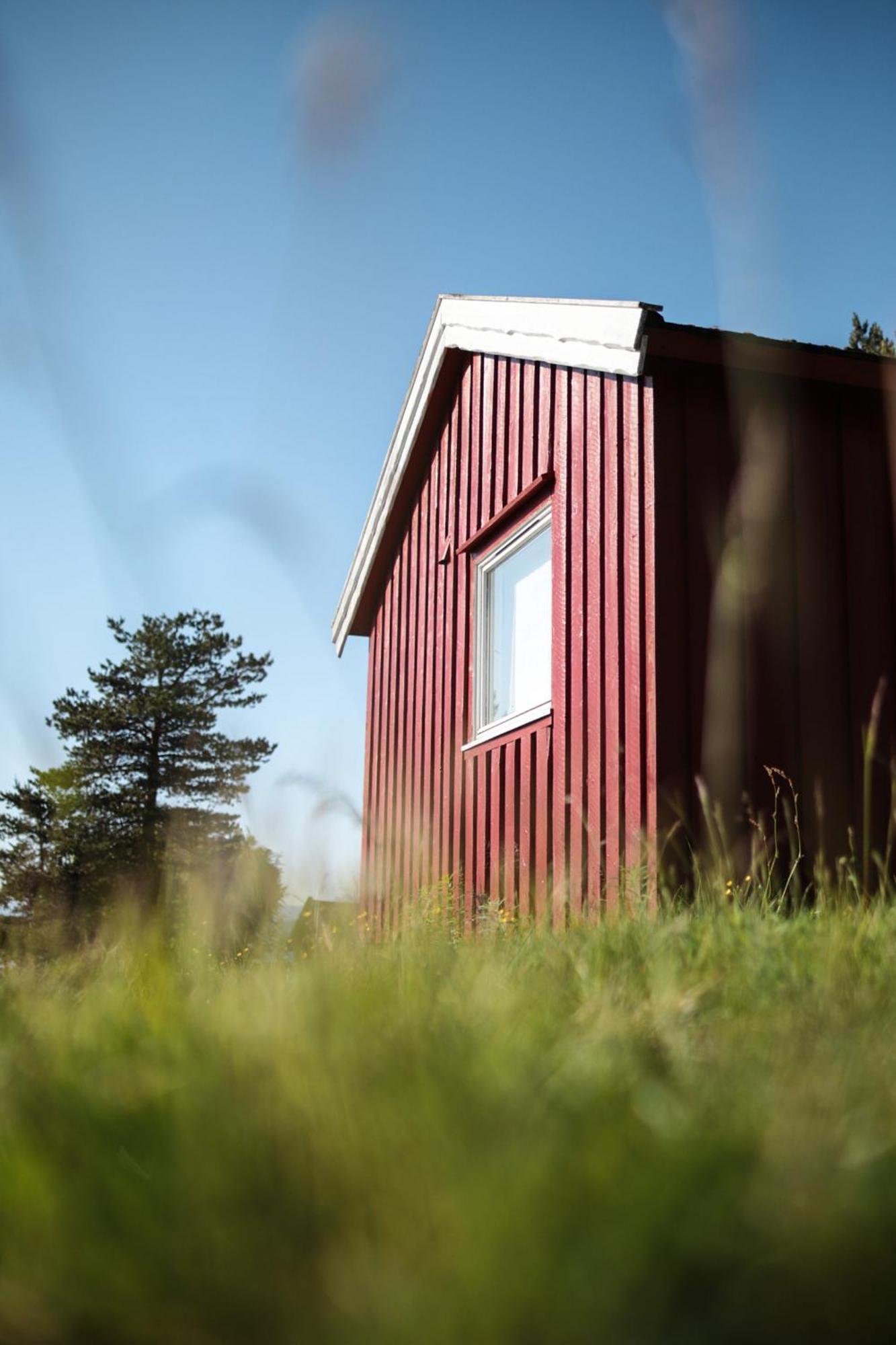 Вілла Norwegian Wild Brygghaugen Екстер'єр фото