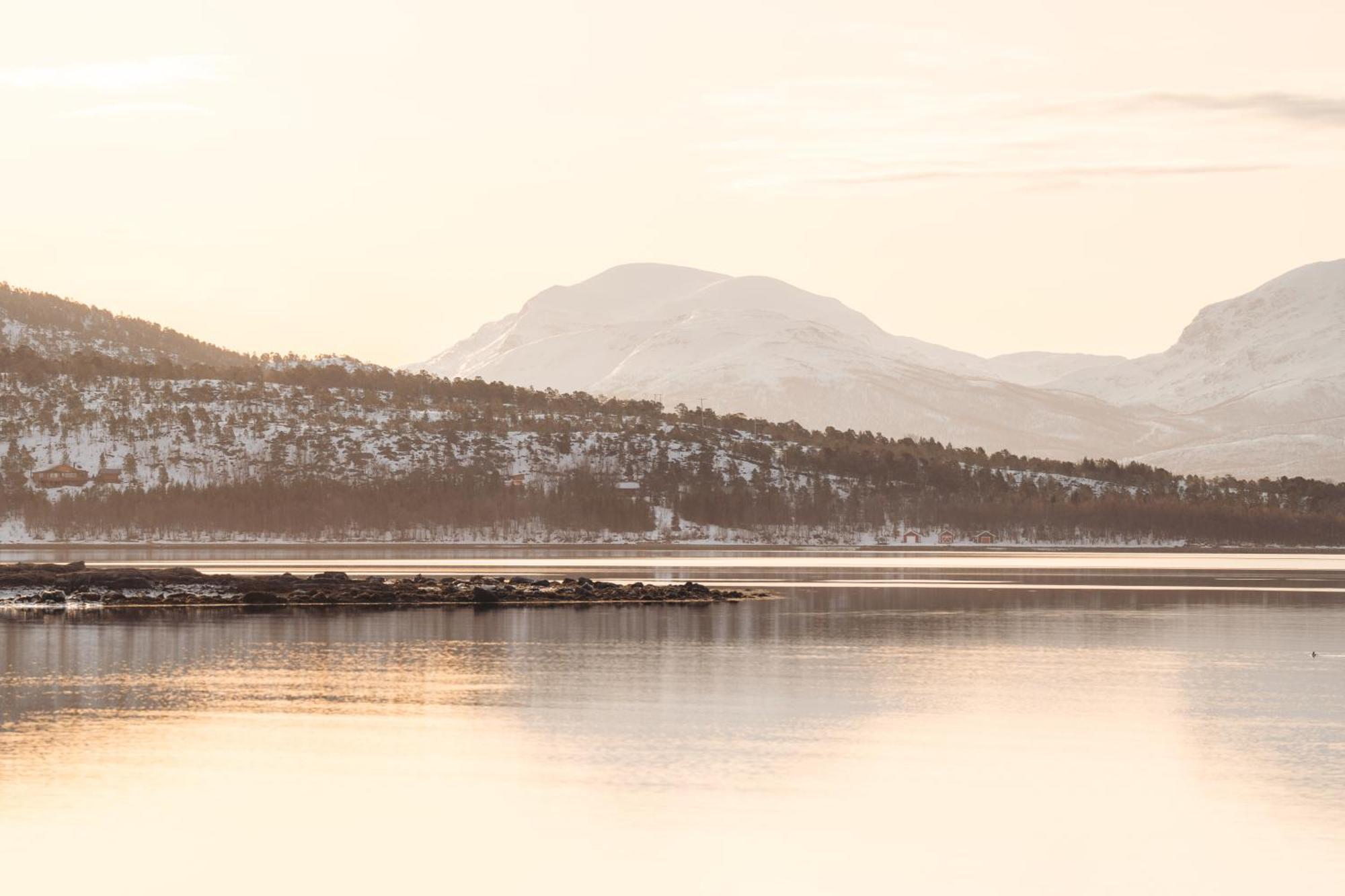 Вілла Norwegian Wild Brygghaugen Екстер'єр фото